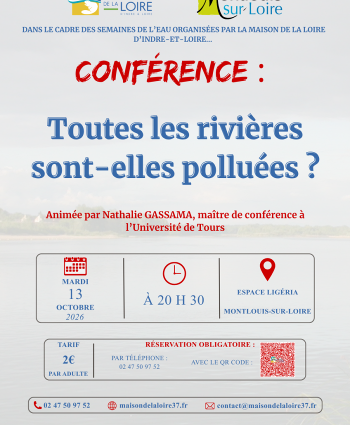 Entre Tours et Amboise 9 Votre texte de paragraphe