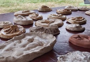 Traces animales et moulages d'empreintes trace et moulage